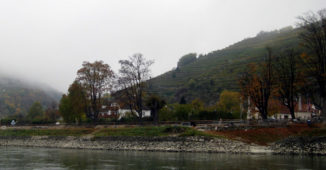 Vineyards along the Danube River